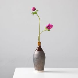 �ݤ�ʬ�������ޤ�