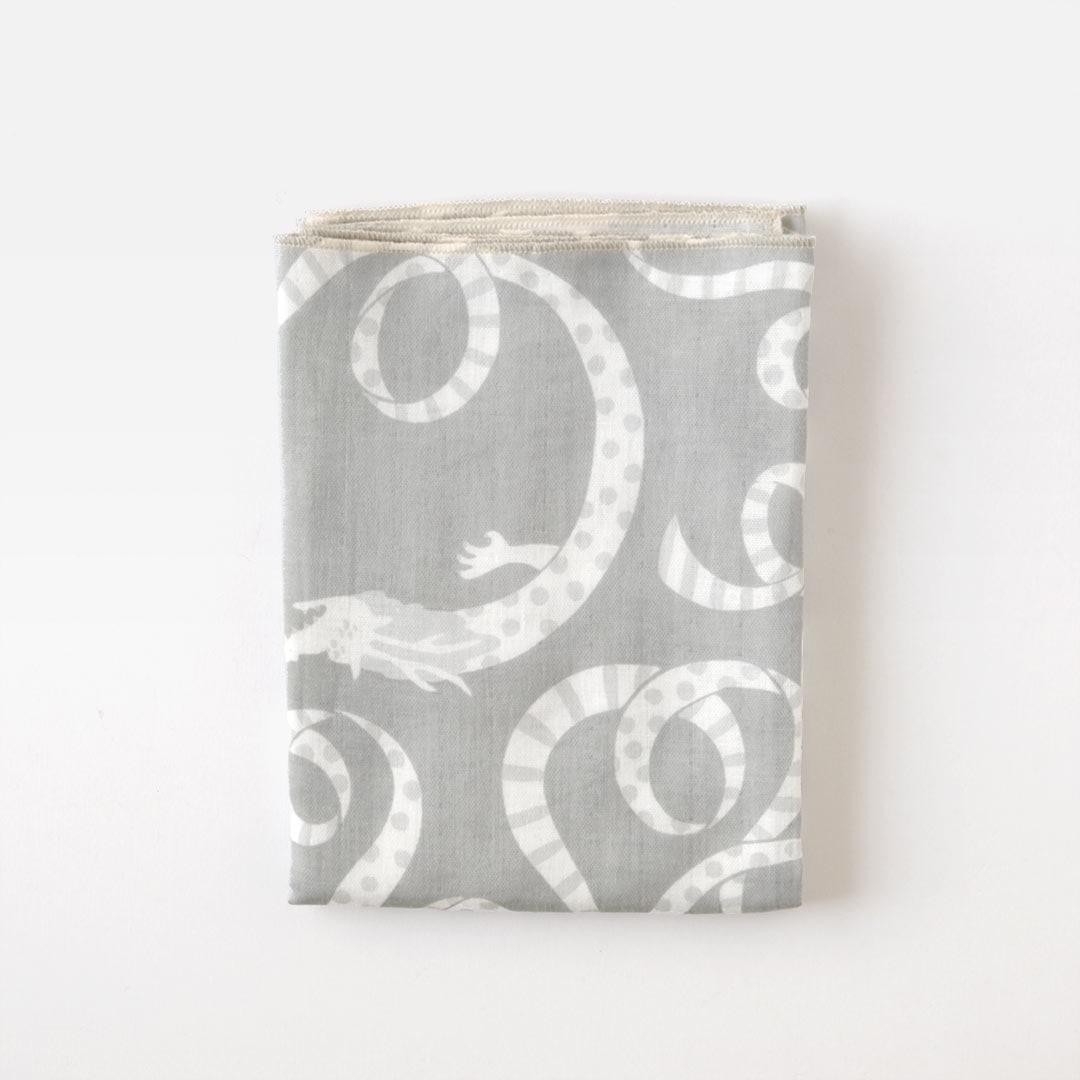 ��̤���������/ζ�Υ�ܥ�/���졼