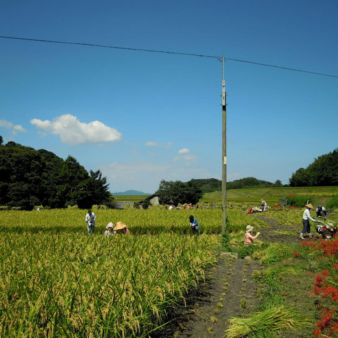 �ı���/����/2kg/���£�ǯ��