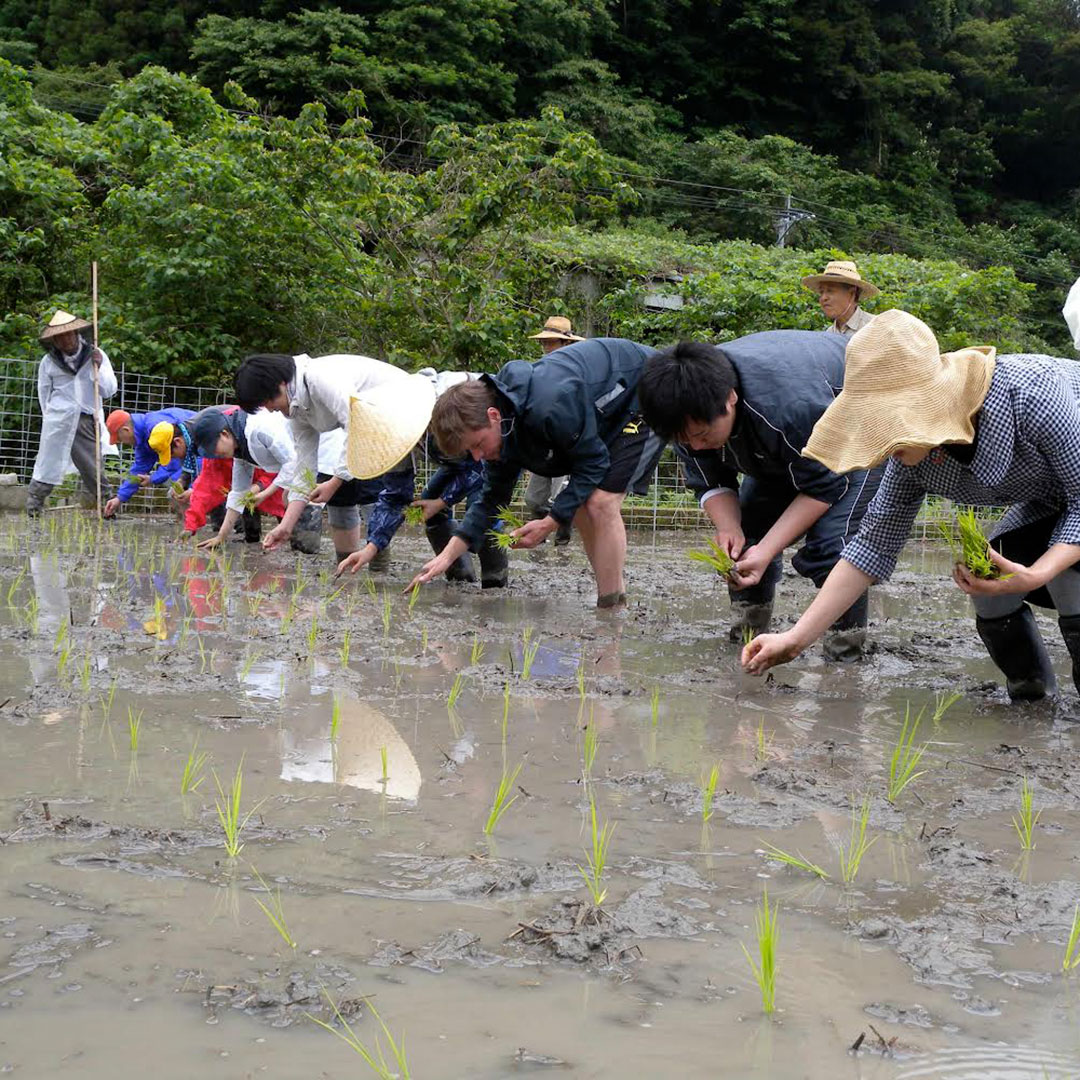 �ı���/����/2kg/���£�ǯ��