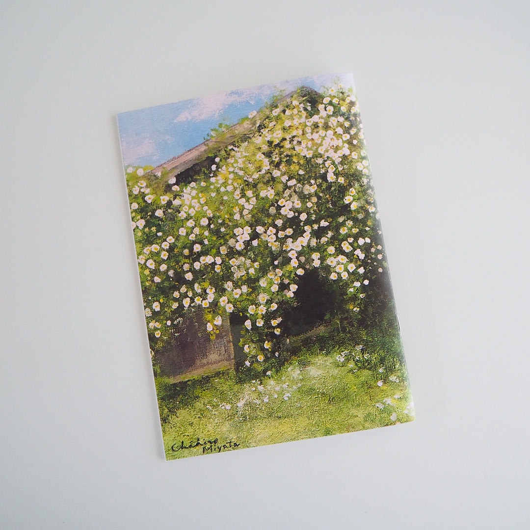 A5�Ρ���/���Ȱ�