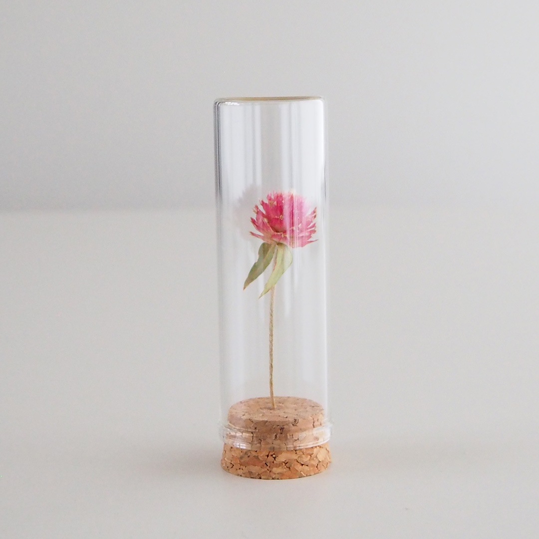 �֥ܥȥ�/������(�ԥ�)/��