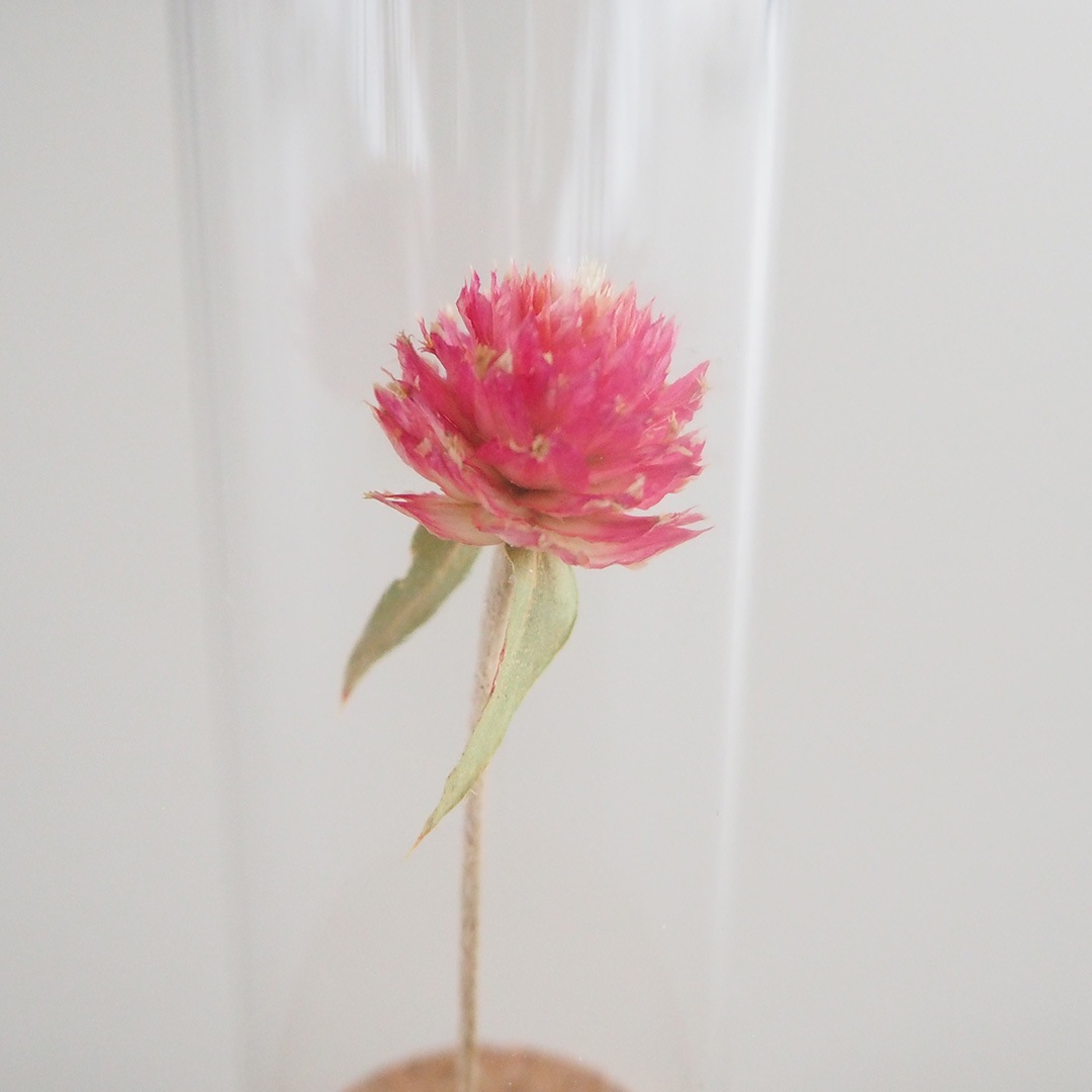 �֥ܥȥ�/������(�ԥ�)/��