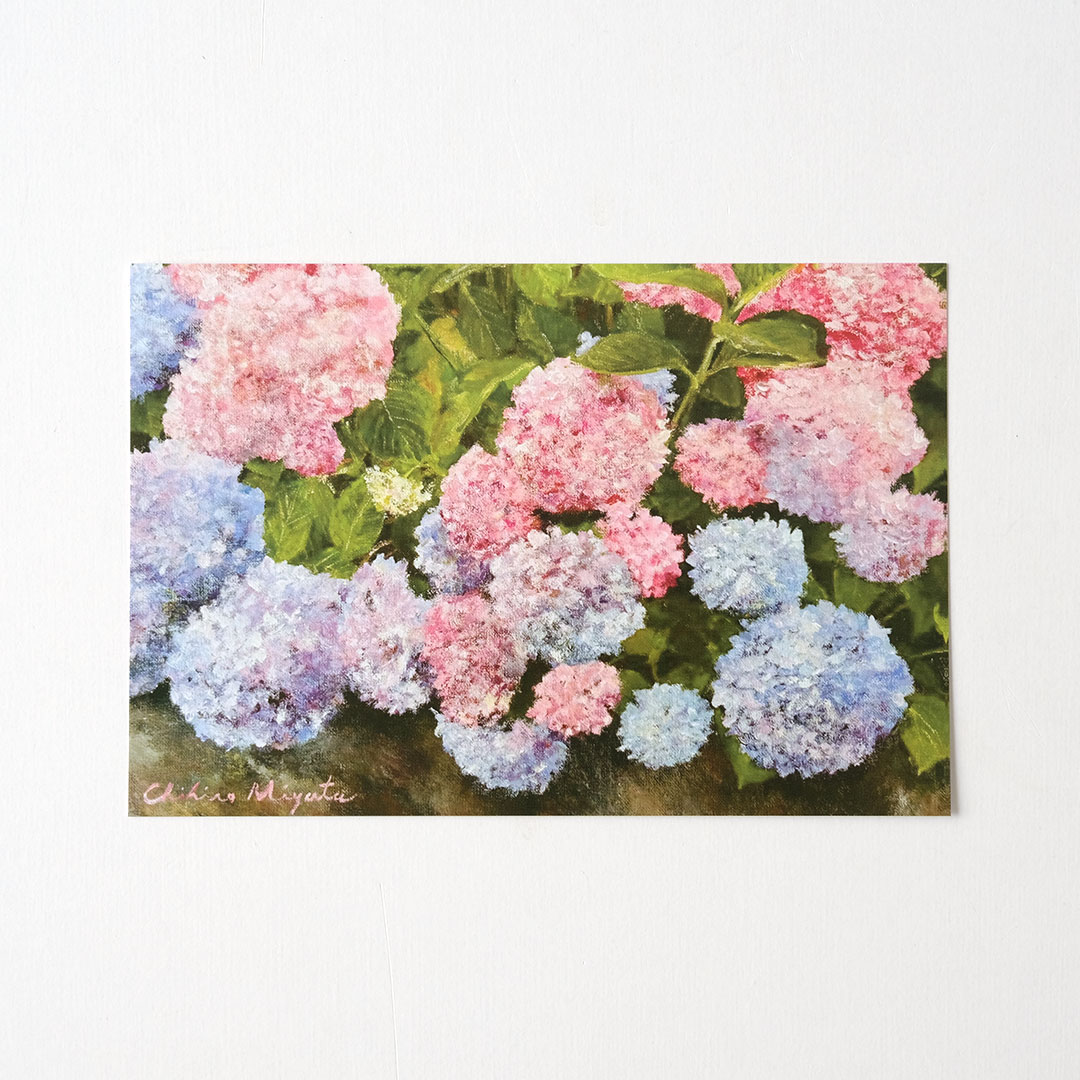 �ݥ��ȥ�����/���۲�