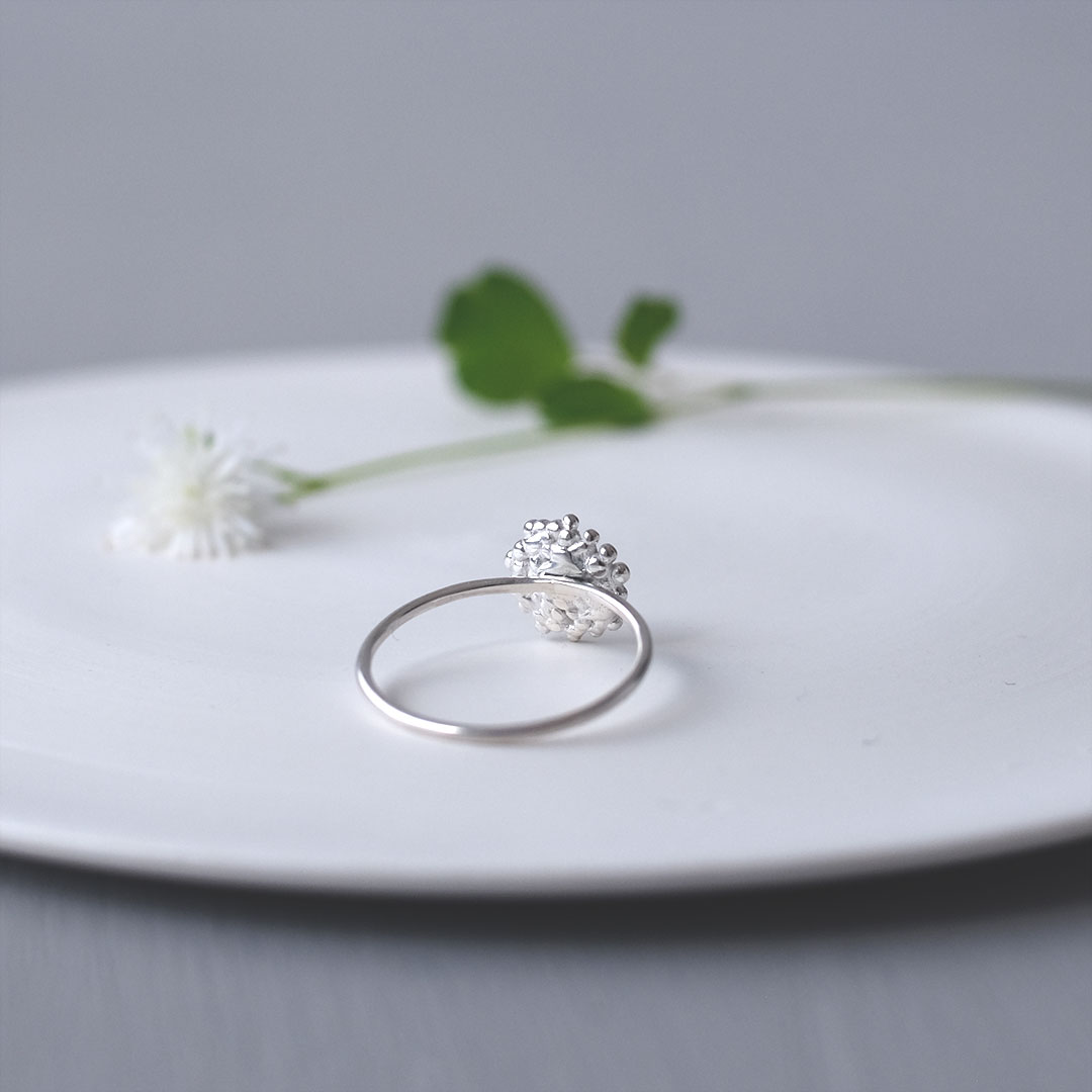 ���/���Ϥ�/����С��ڼ���������