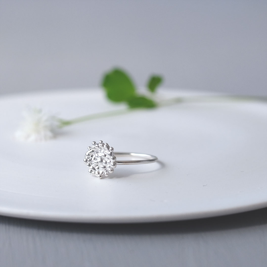 ���/���Ϥ�/����С��ڼ���������