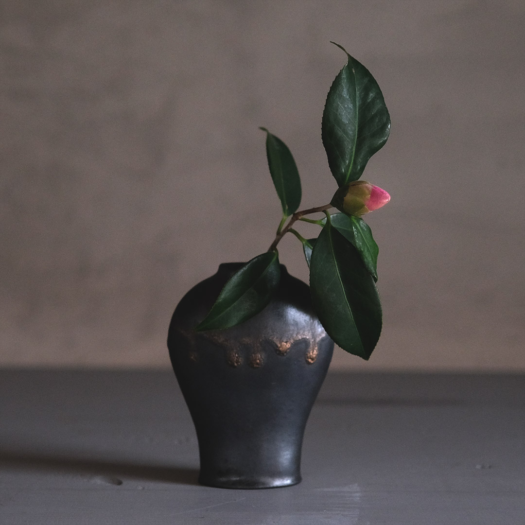 ����/�︪/����