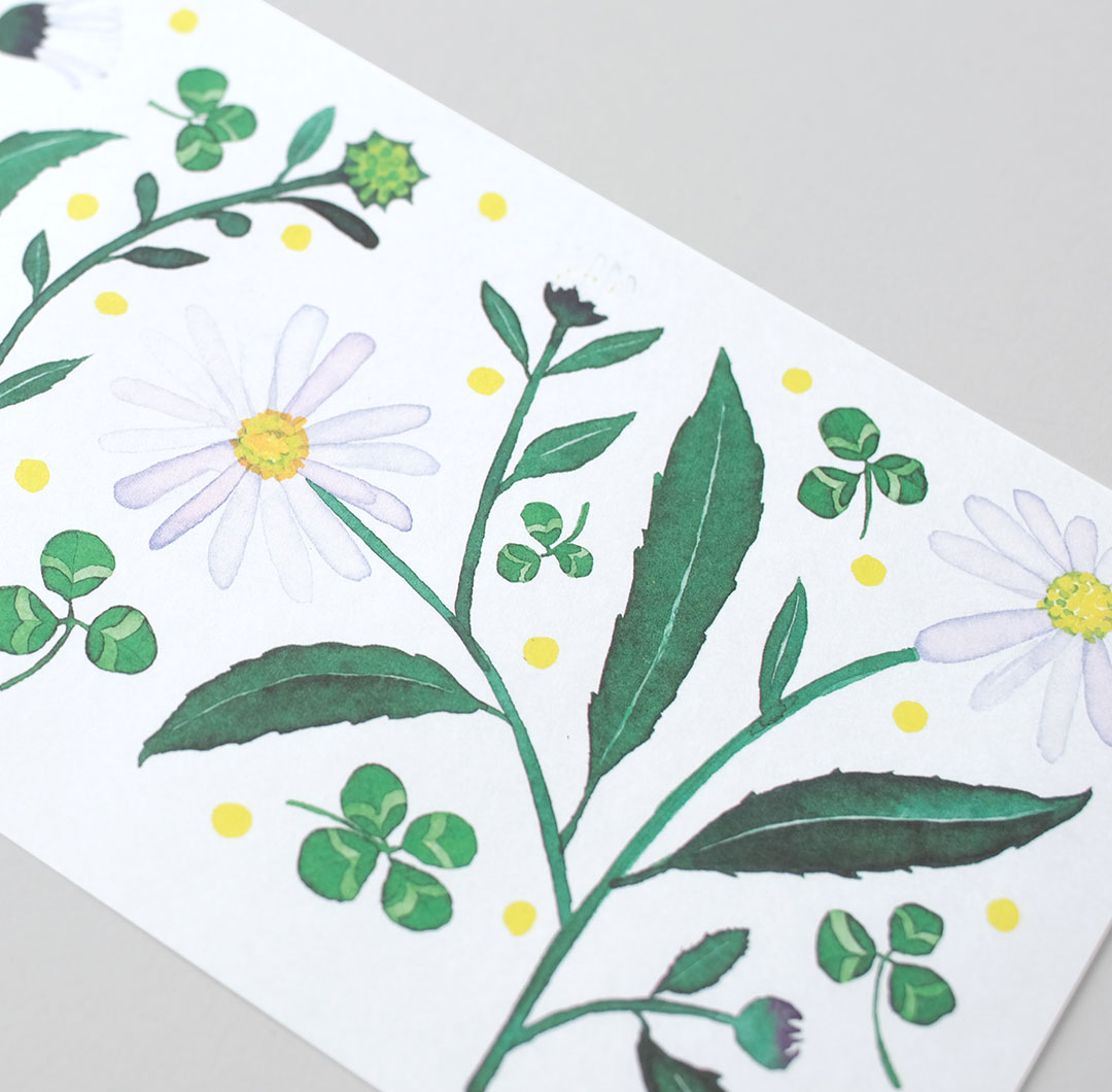 Suisai no Hana/��ɮ�