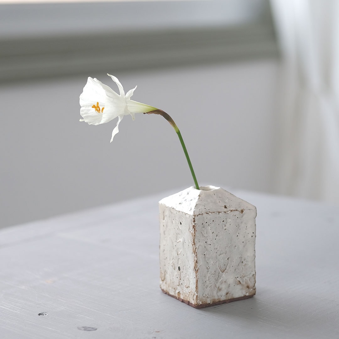 �����ޤ�/��/��