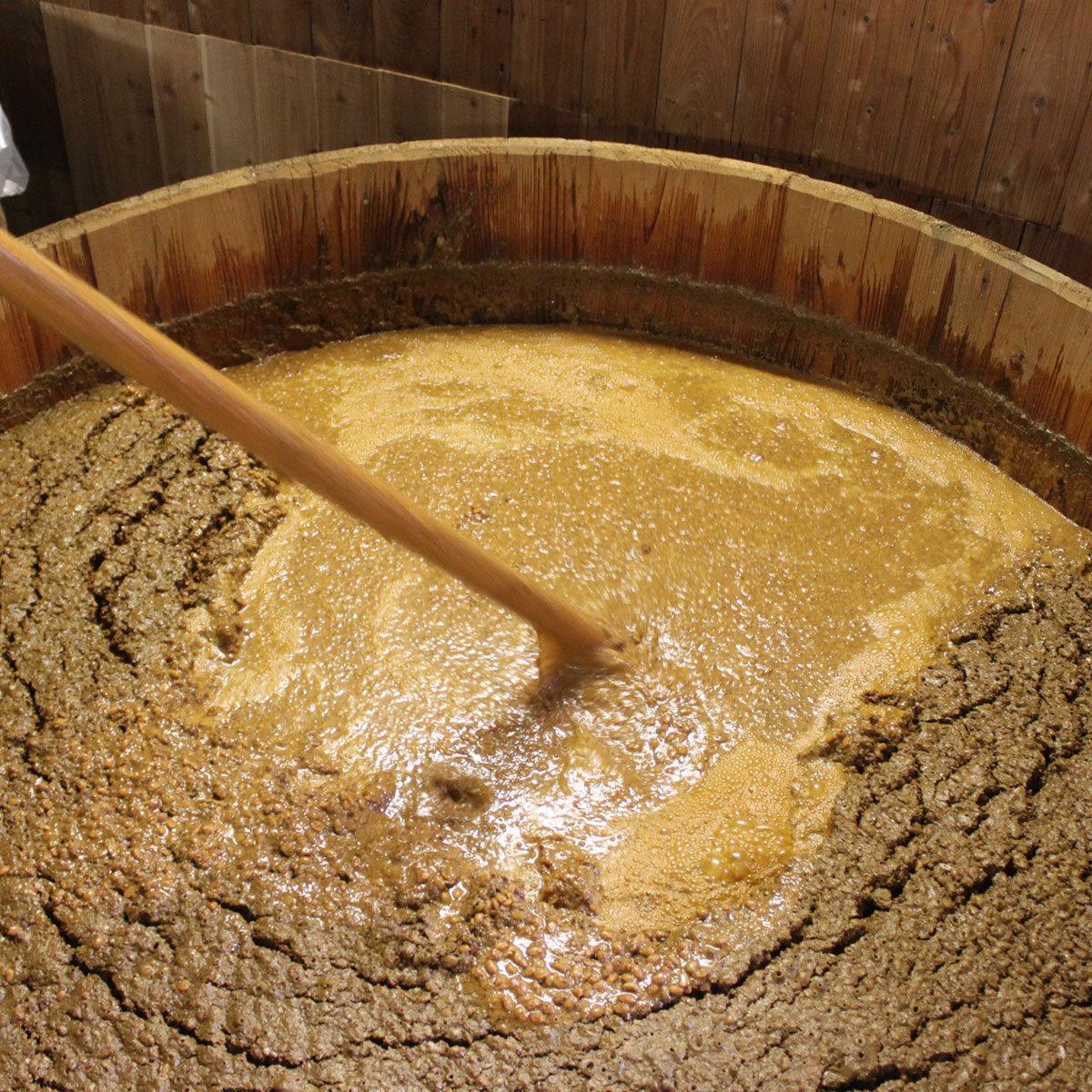 �������ꡢ�� �������� �쾣