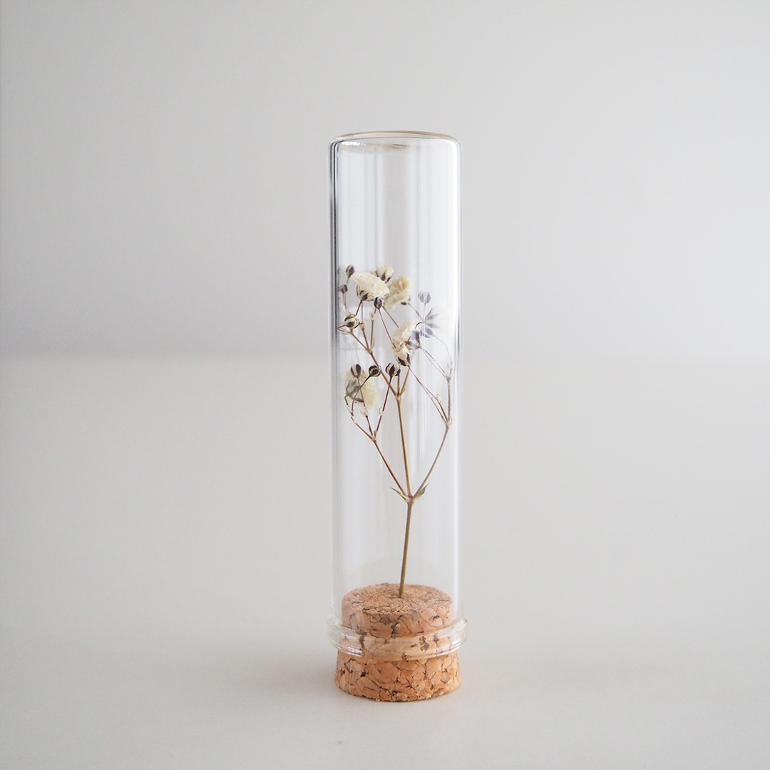 �֥ܥȥ�/��������/��