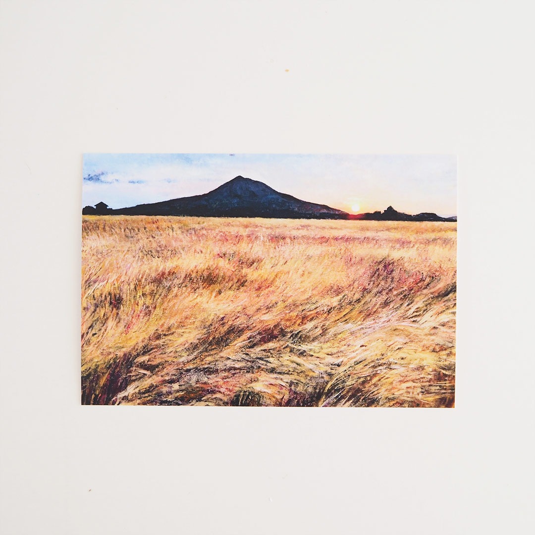 �ݥ��ȥ�����/�����ʲ���