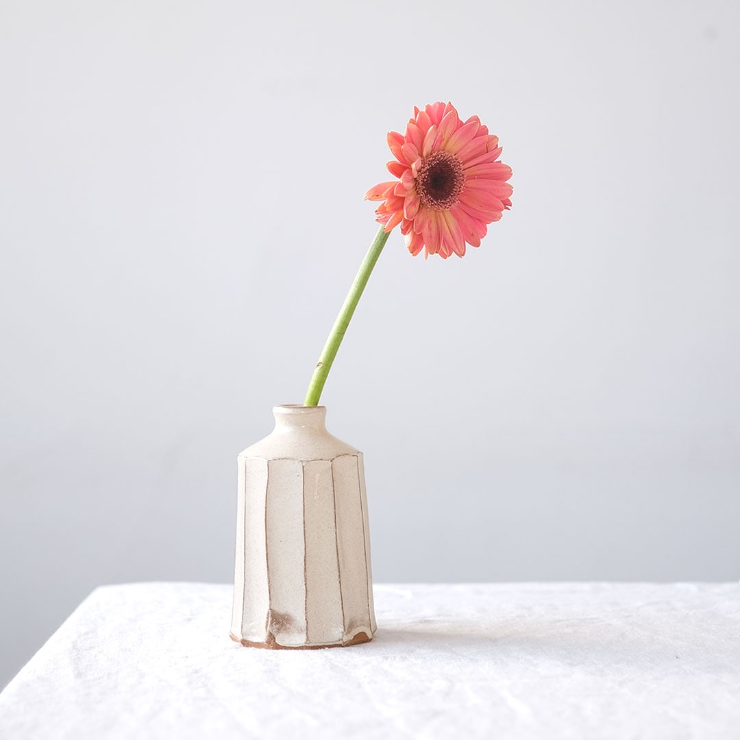 ����/ʴ���̼��