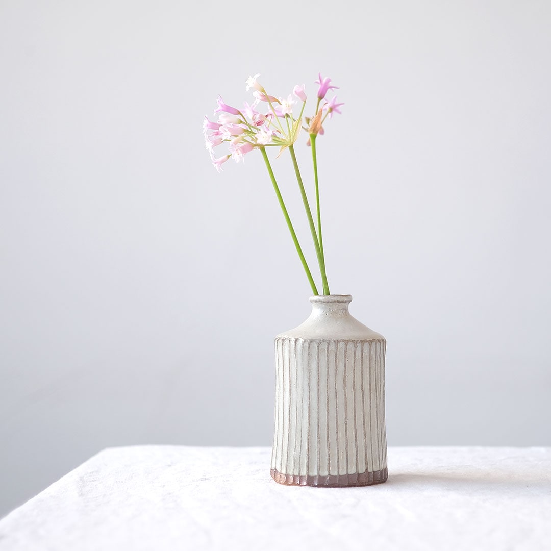 ����/�����Ť��Τ�