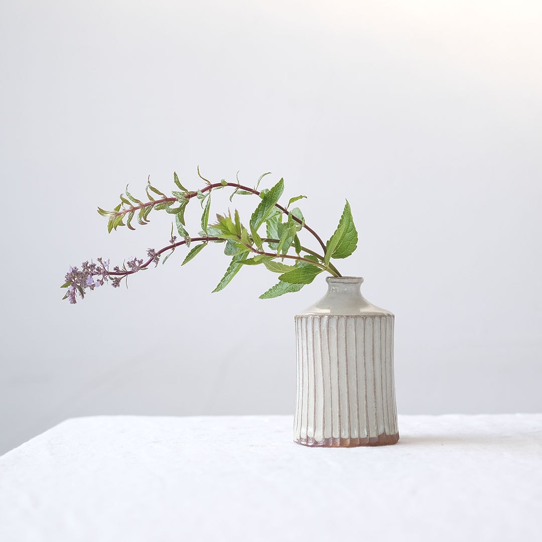 ����/�����Ť��Τ�