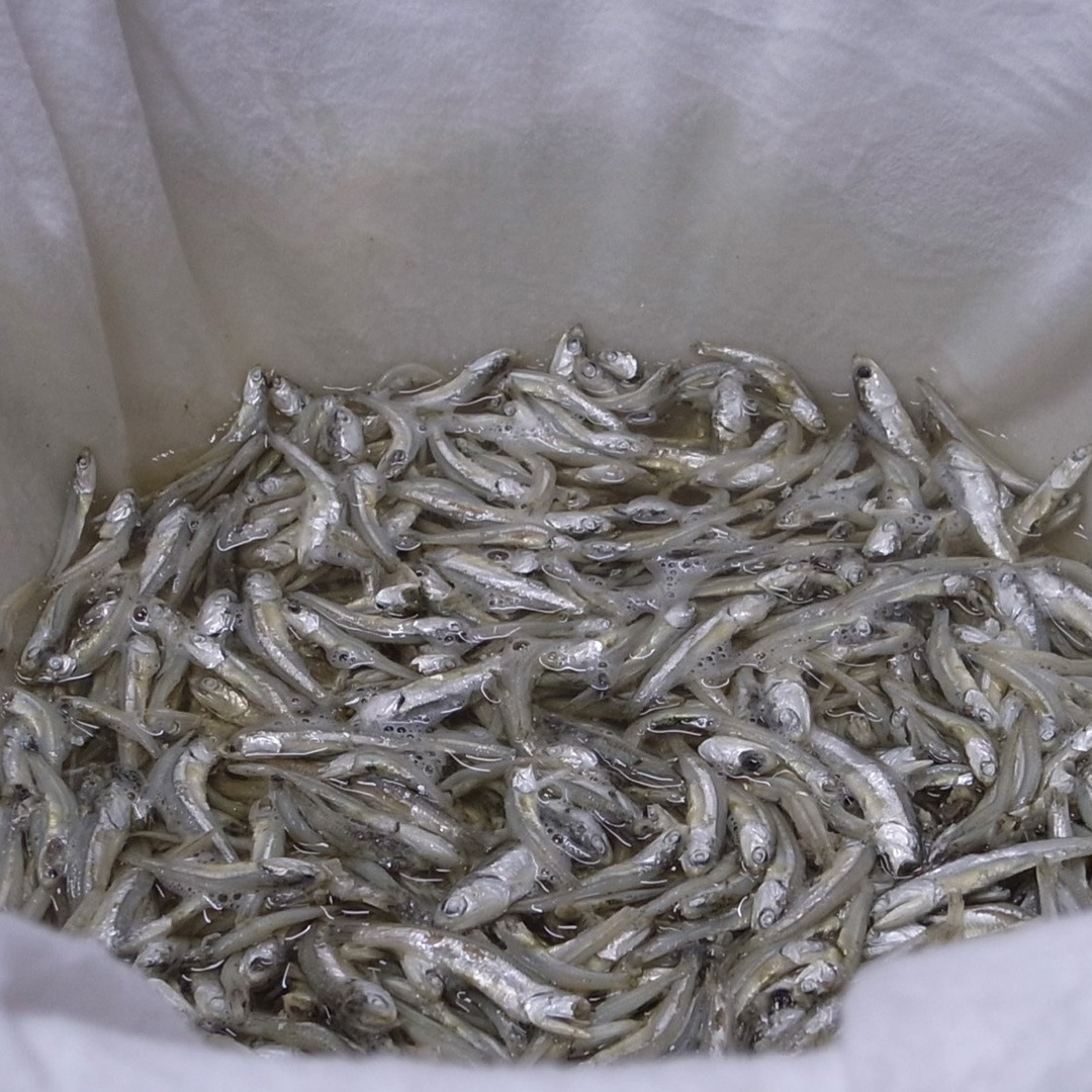 �����/300ml