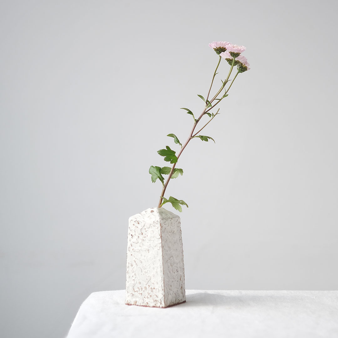 �����ޤ�/�ͳѿ��ޤ���/������