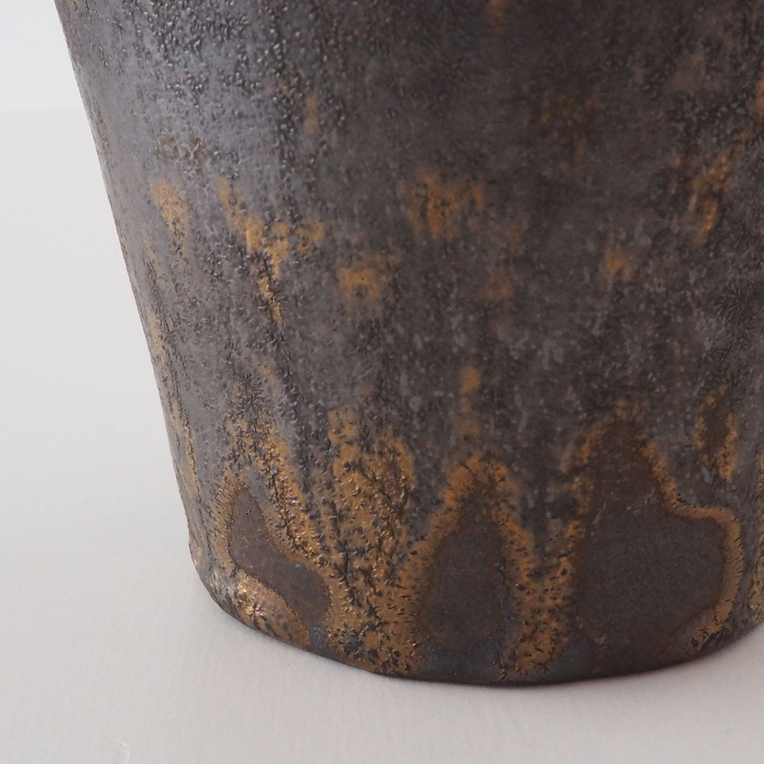 �����/��������