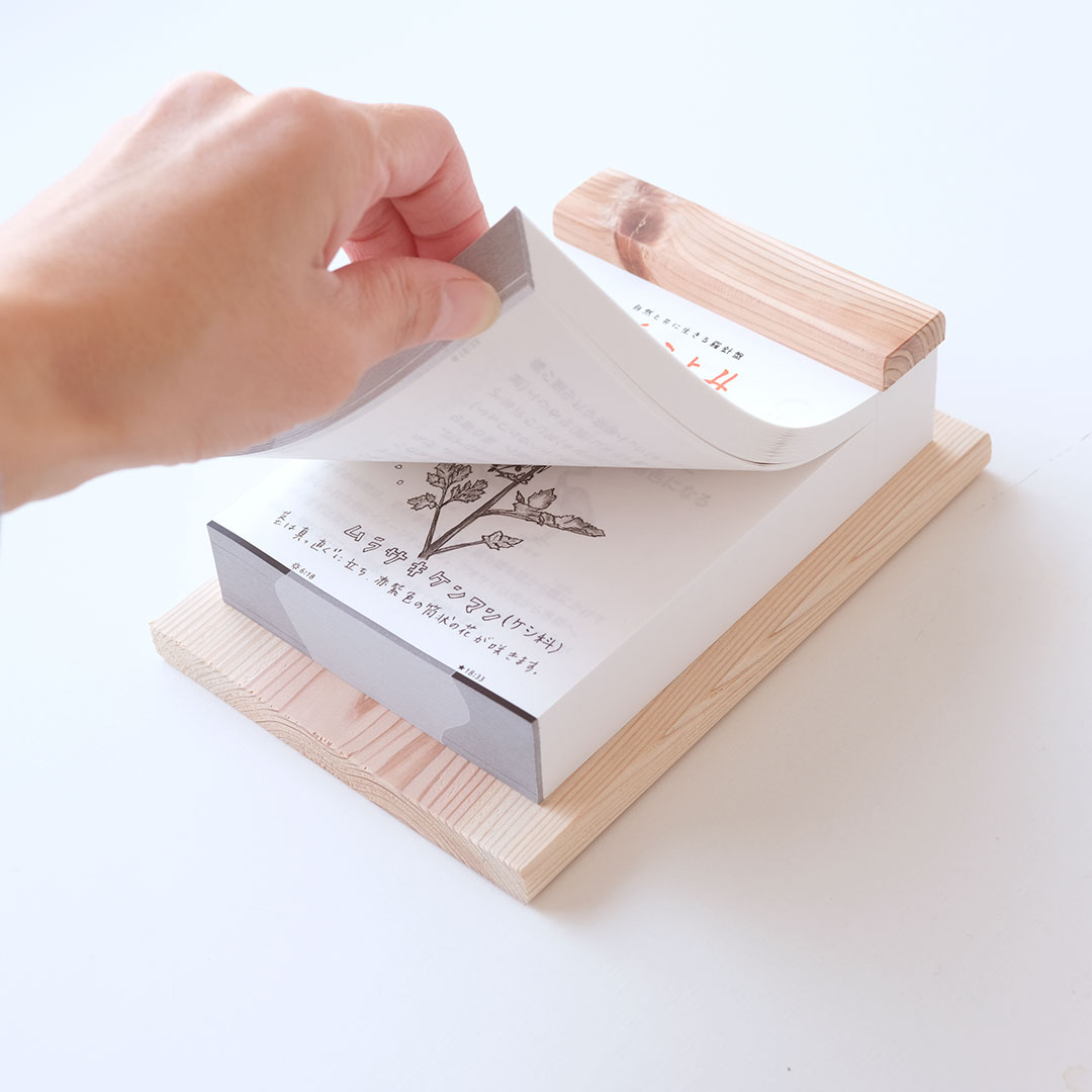 ���礳��� 2023