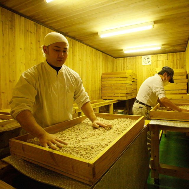 ★米麹★ 米こうじ】あまざけ麹 500g 米麹 【九州くまもとの老舗味噌屋