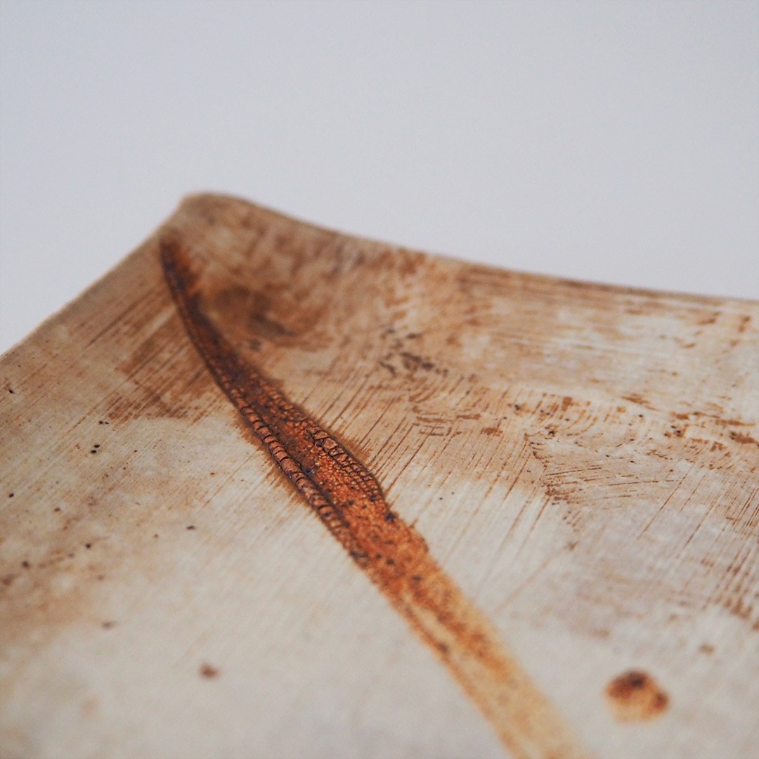 ����/��Ĺ��