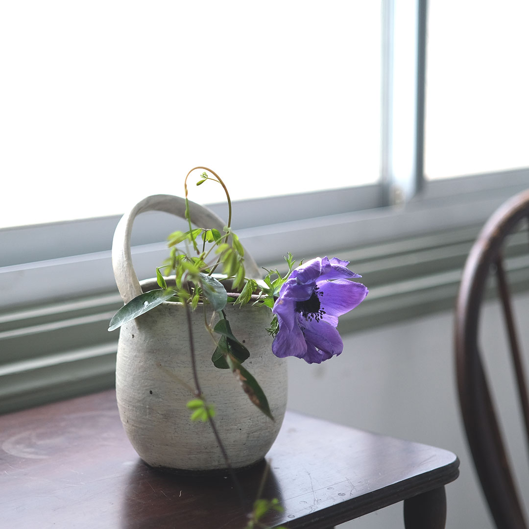 �����ܥ꡼��/���դ�����/��