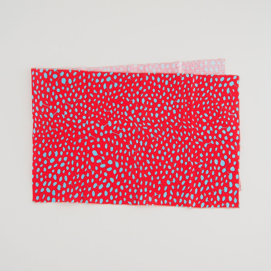 ��̤���������/�ʥåȥ�/��