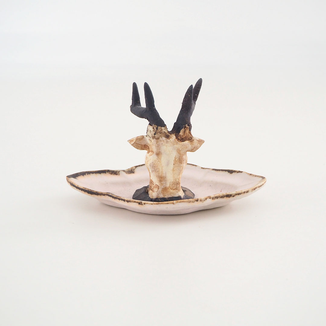 ���Υ��������꡼�ȥ쥤