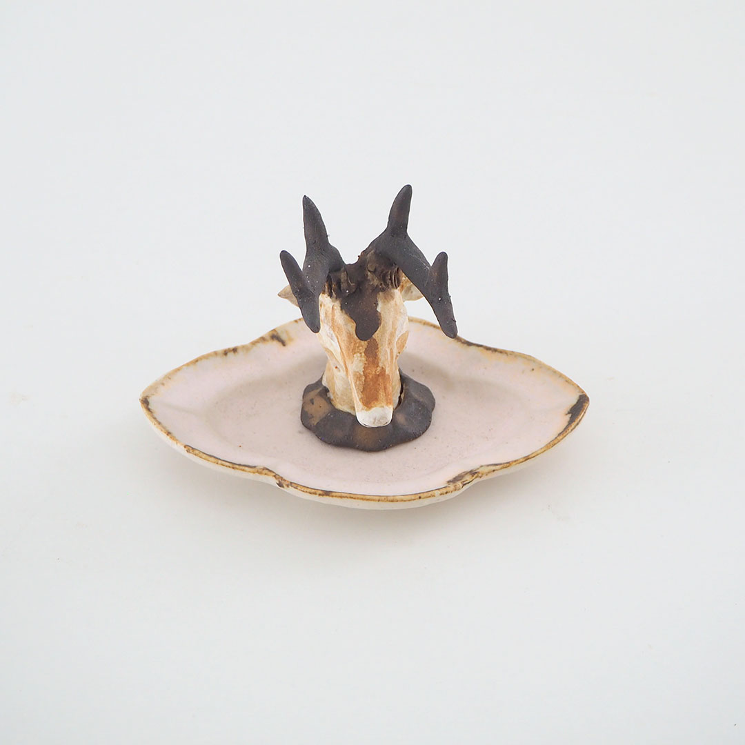 ���Υ��������꡼�ȥ쥤