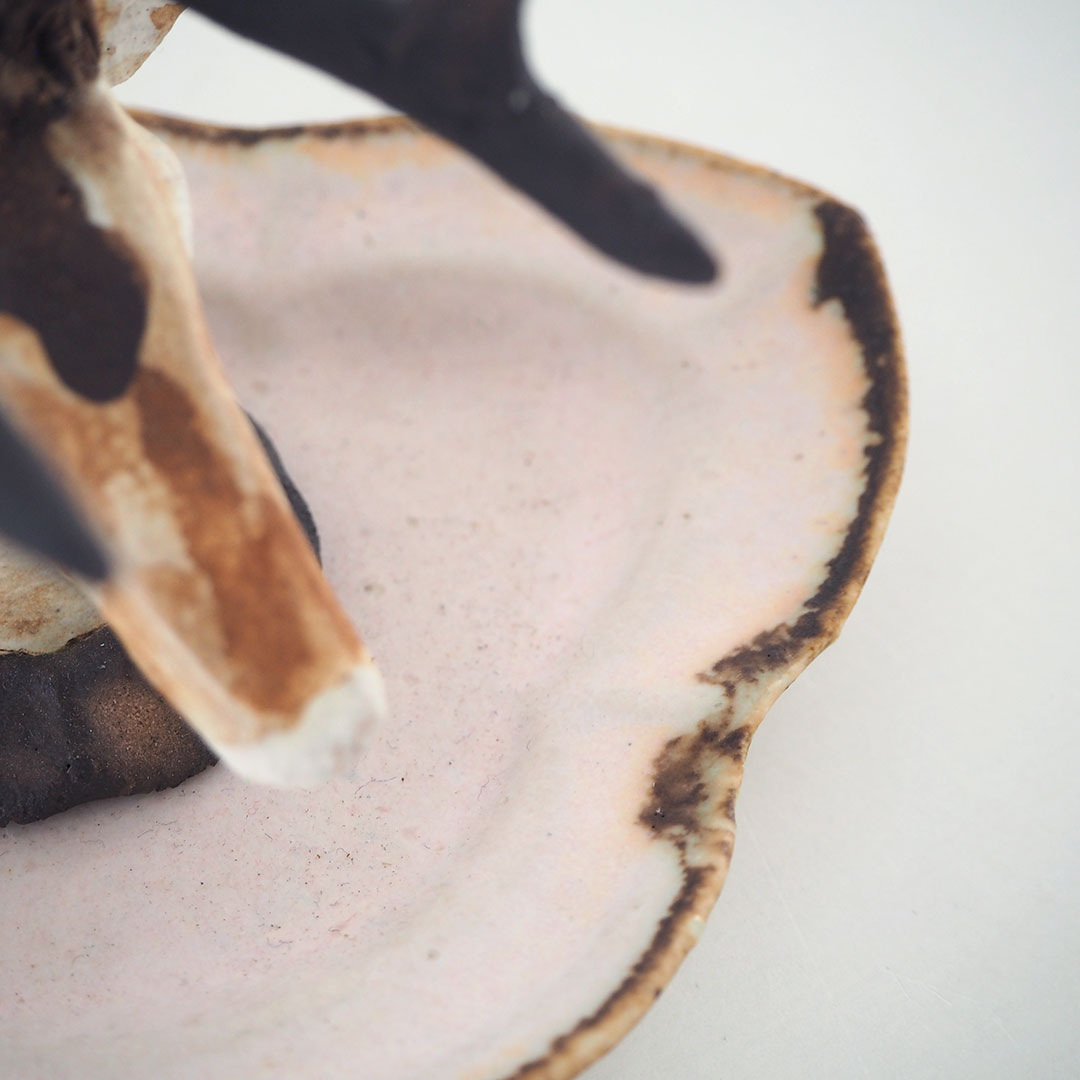 ���Υ��������꡼�ȥ쥤