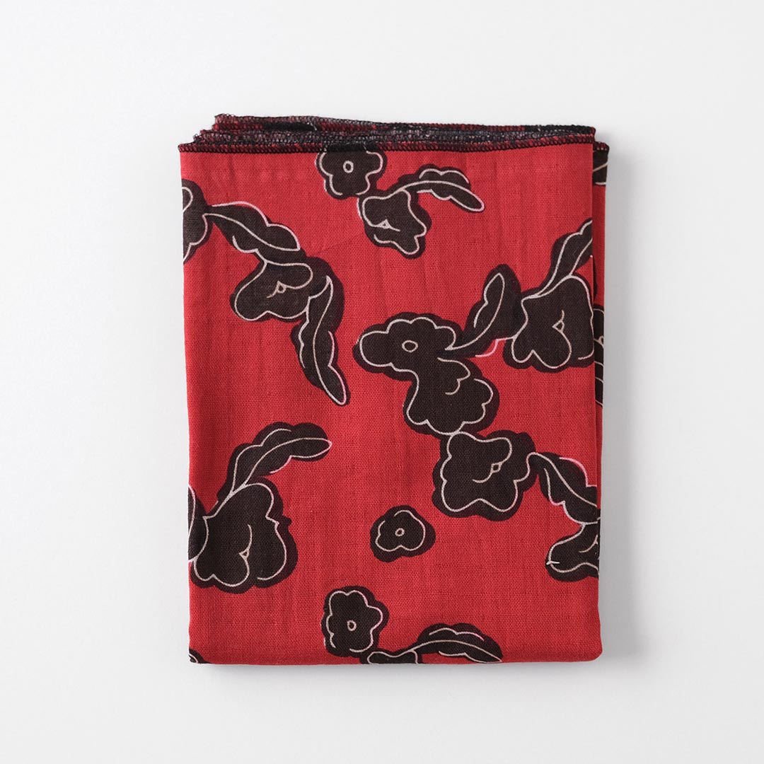 ��̤���������/��󤴤β�/����