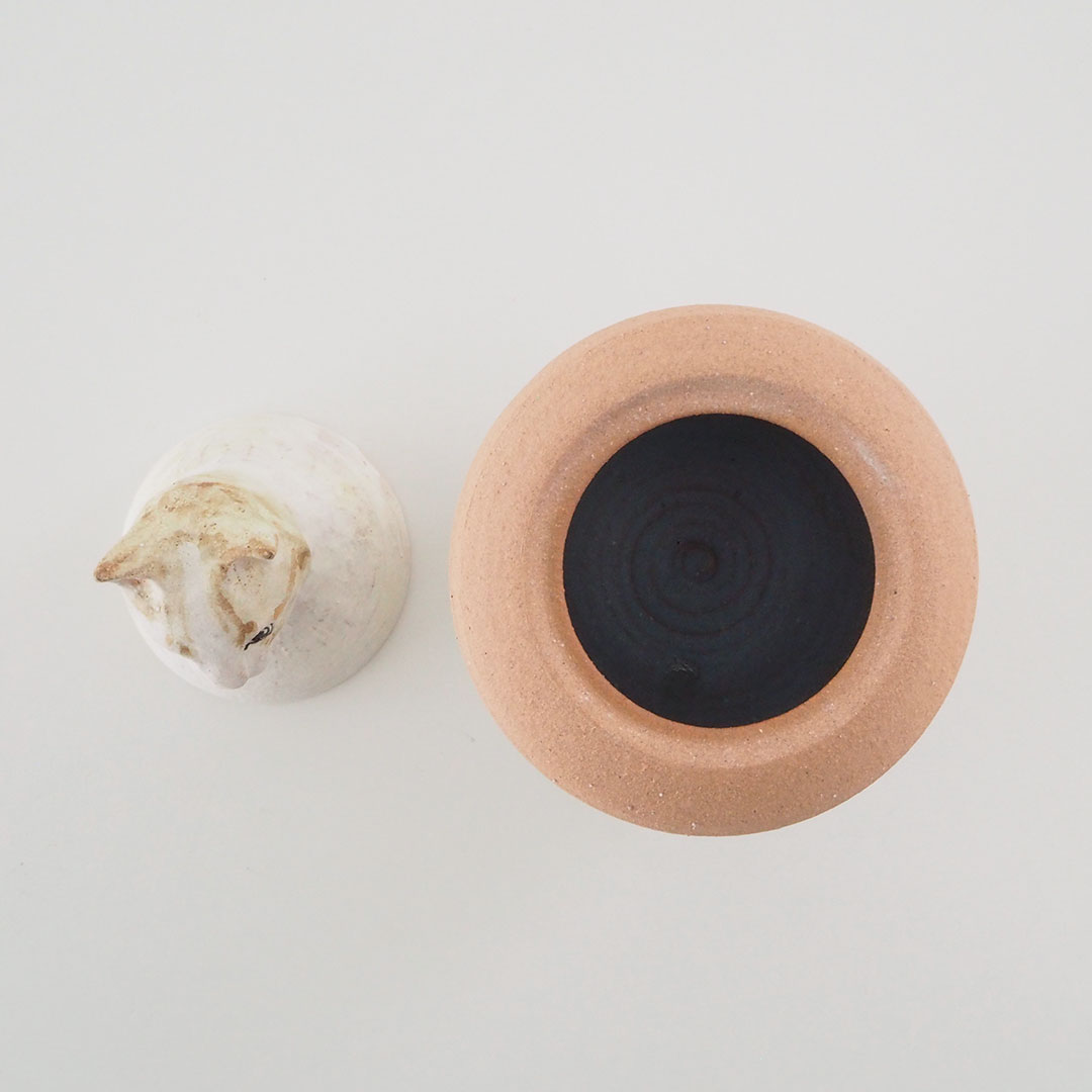 カノプス壺/ねこ | acne.pottery.studio | 糸島くらし×ここのき 公式