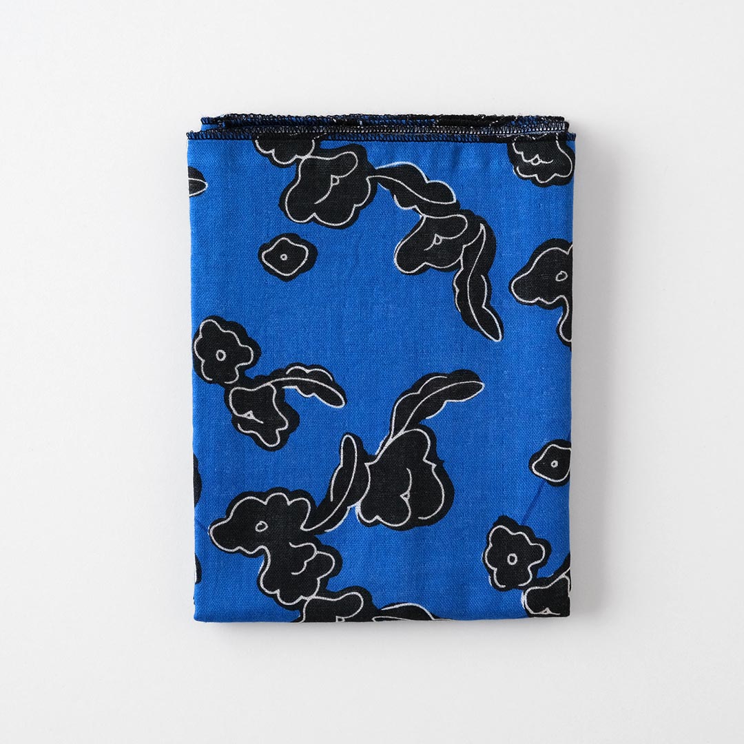 ��̤���������/��󤴤β�/��