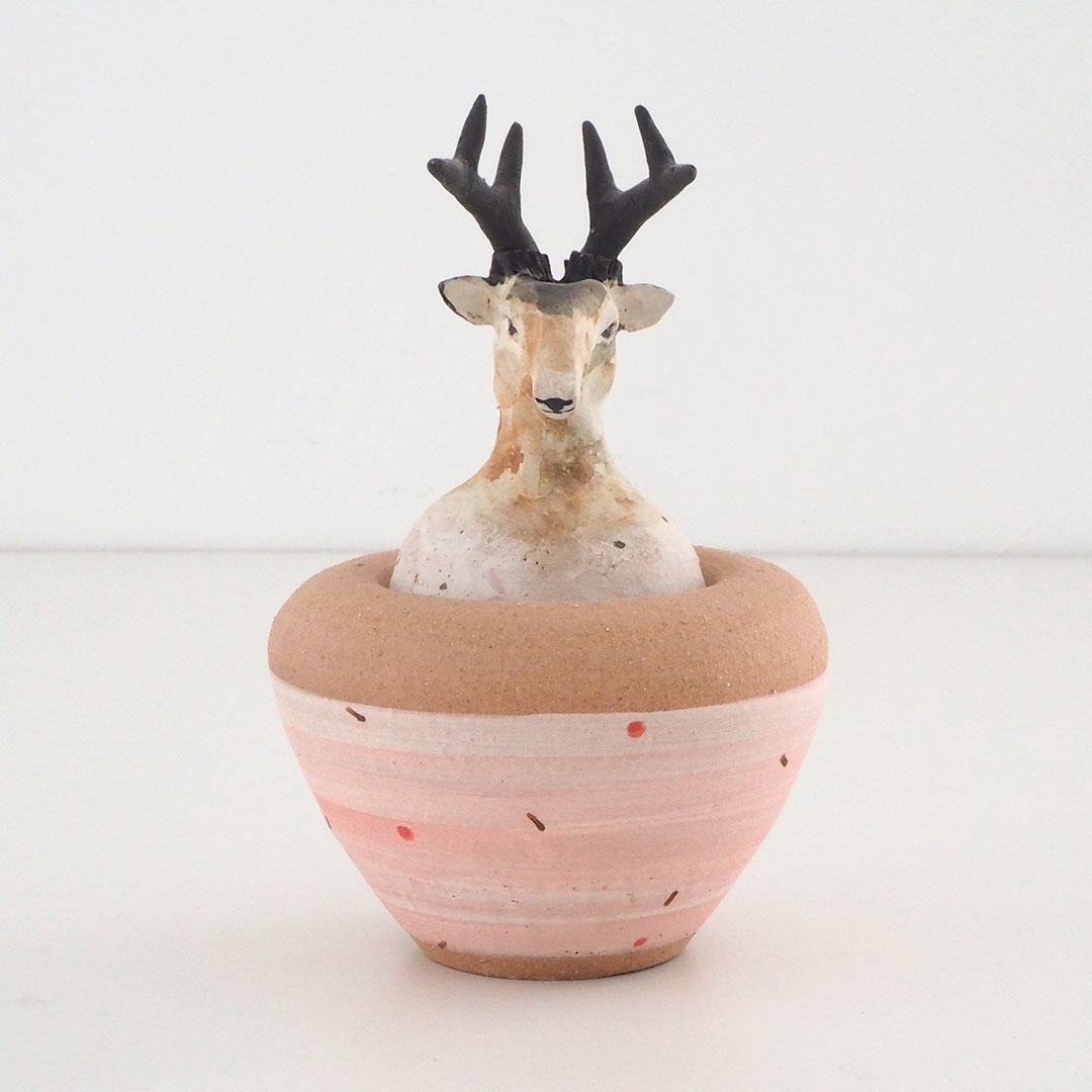 ���Υץ���/��