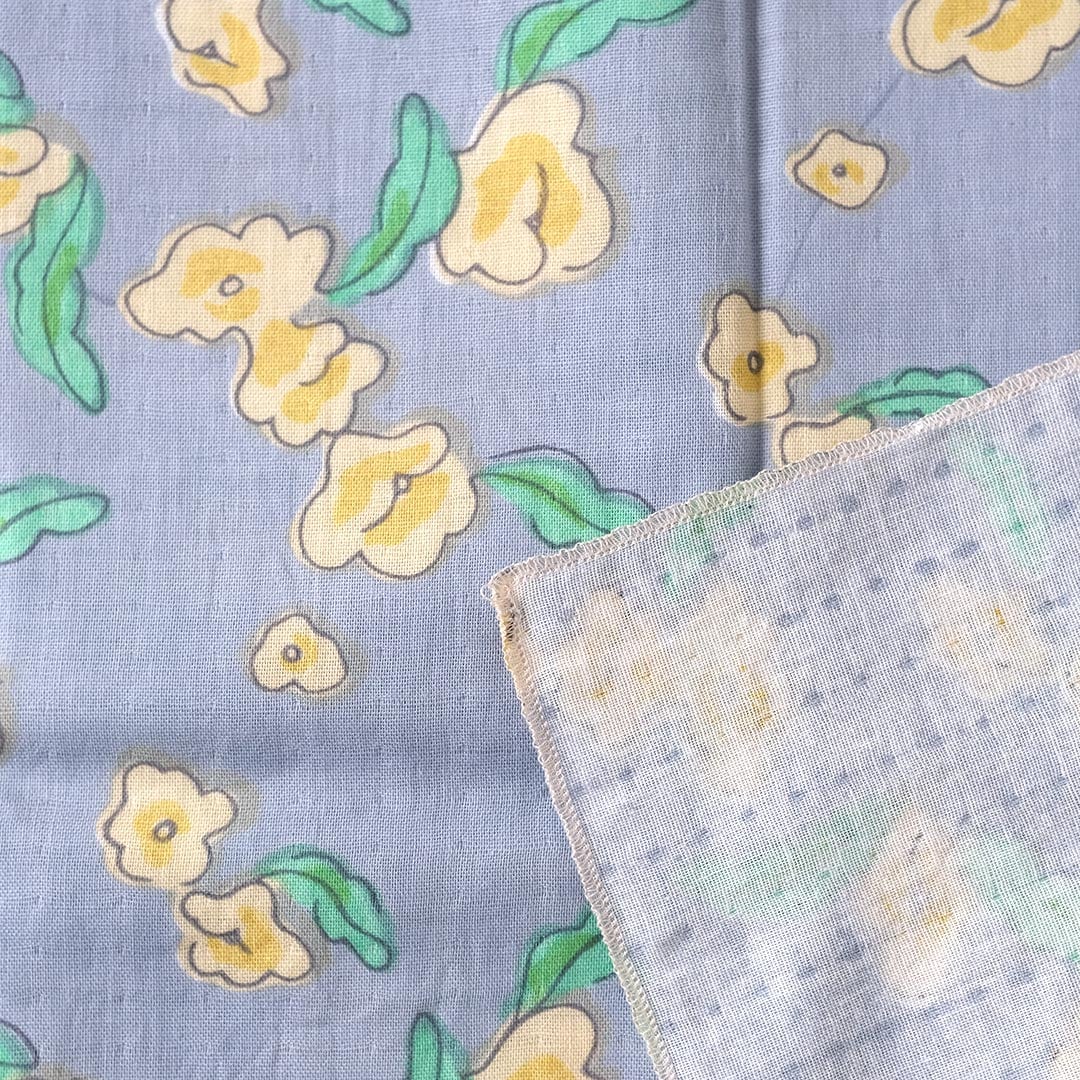 ��̤���������/��󤴤β�/���졼