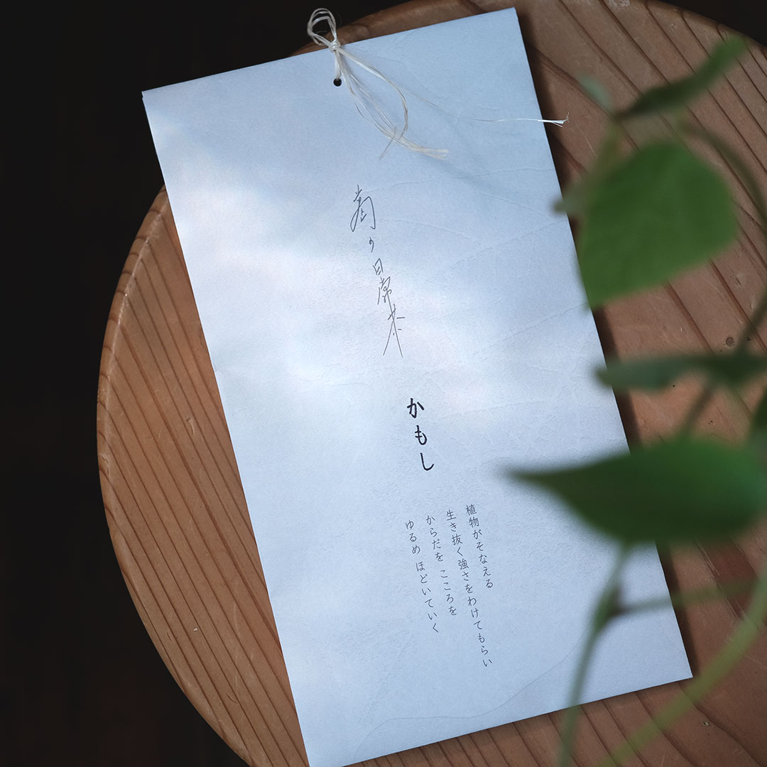 ���������/���⤷