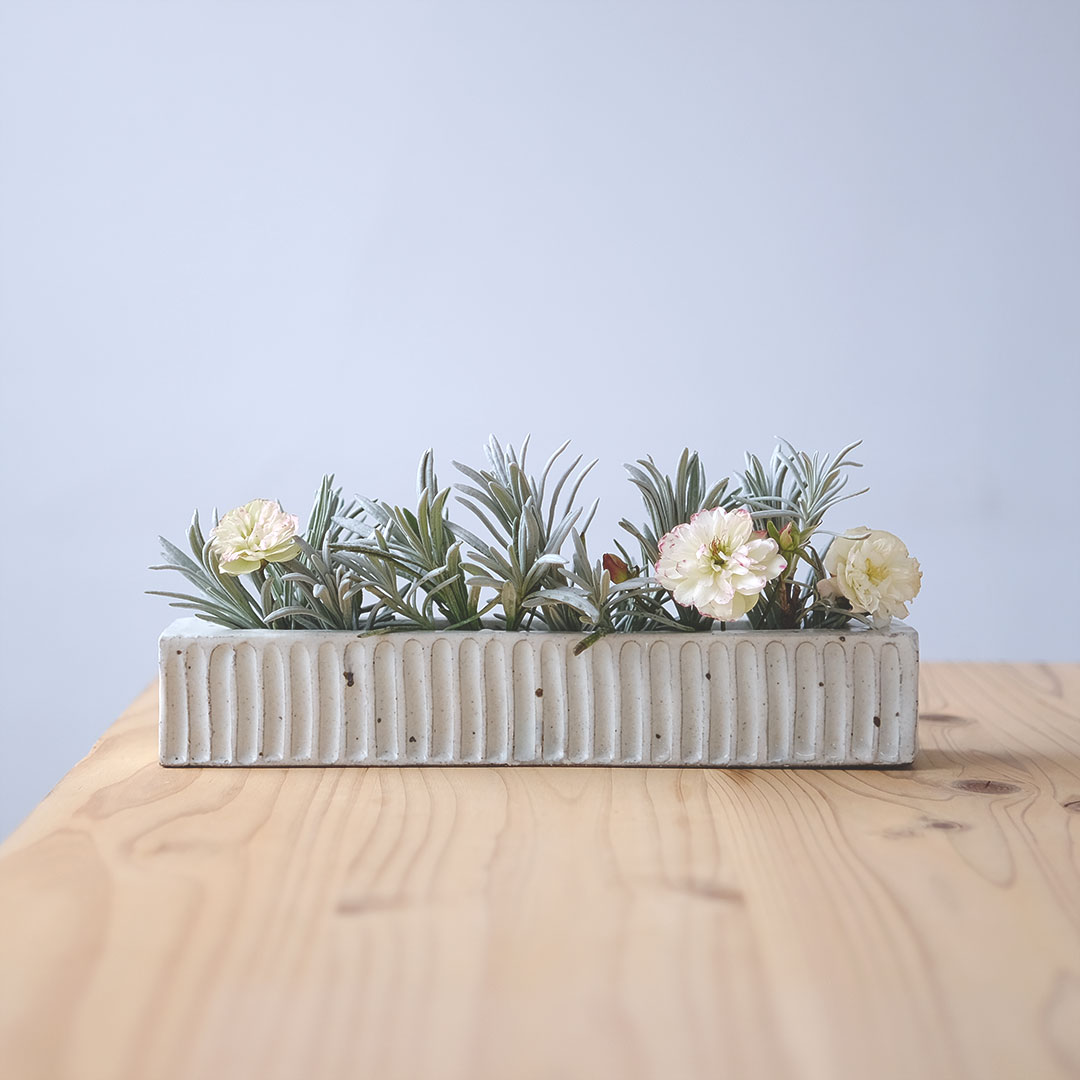 ʴ�����Τ�/����/��Ĺ��