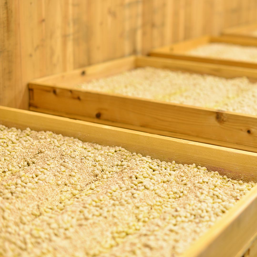 ��������500g