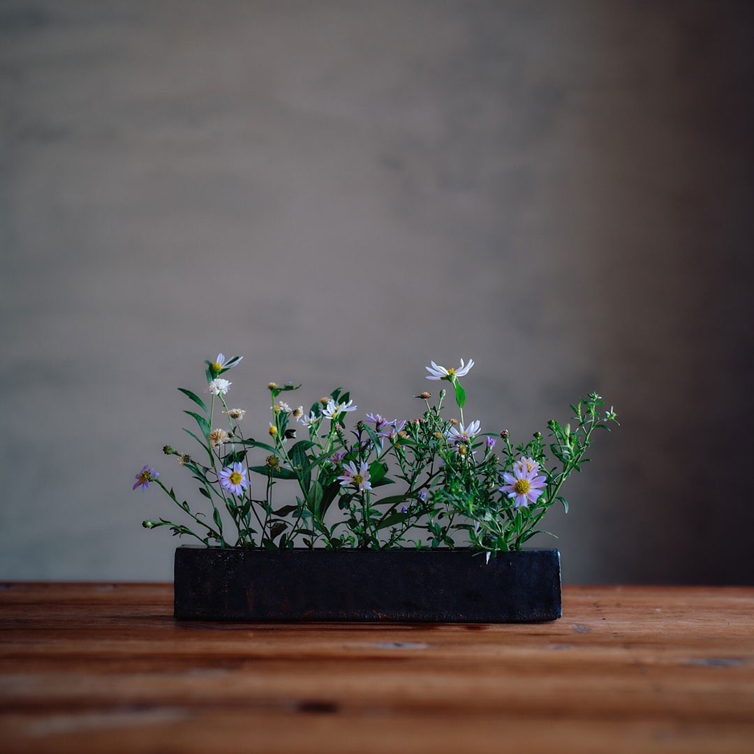 �����/����/��Ĺ��