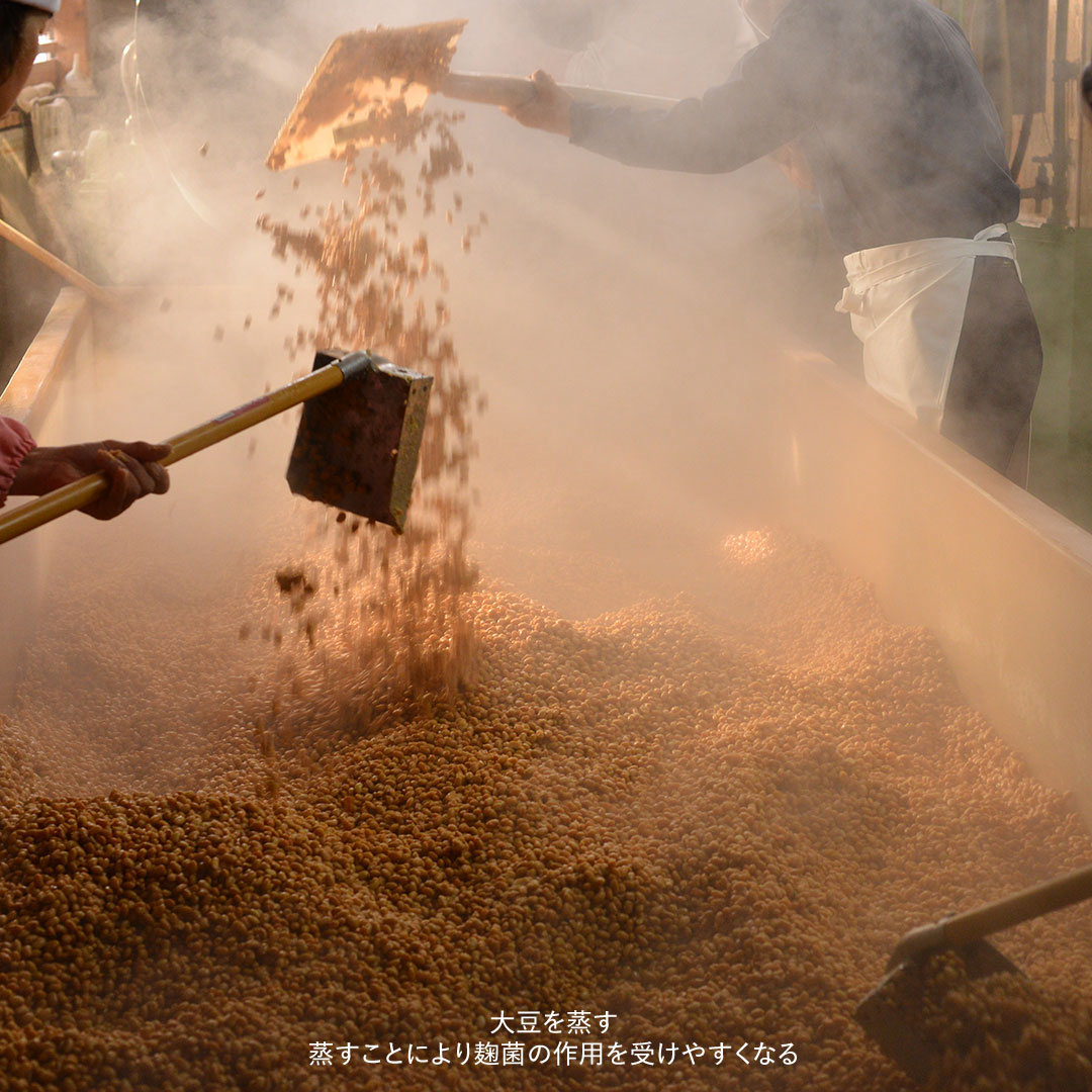 �������ꡢ��ǻ������ ��Ȣ��