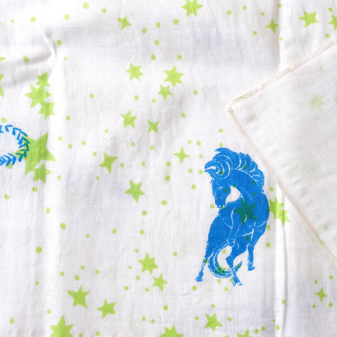 ��̤���������/�� ������ /��