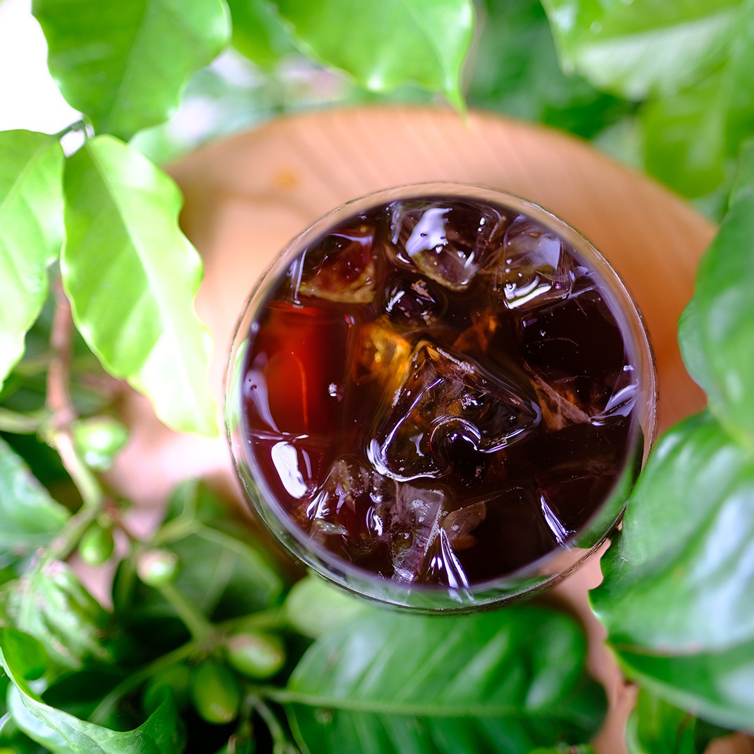 ��Ф������������ҡ��ѥå�/�����ꥷ�󥰥�/5�ѥå�