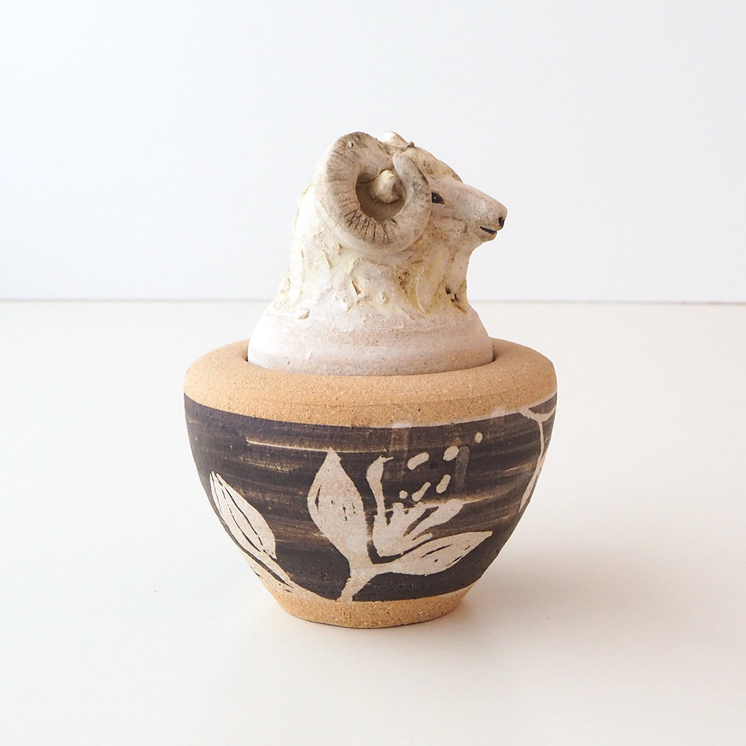 �Ӥγ�������ʪ