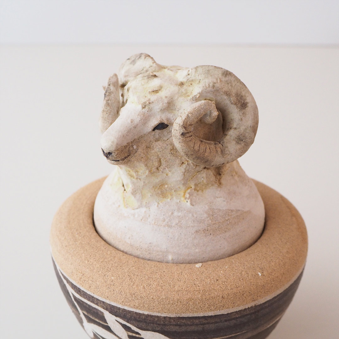 �Ӥγ�������ʪ