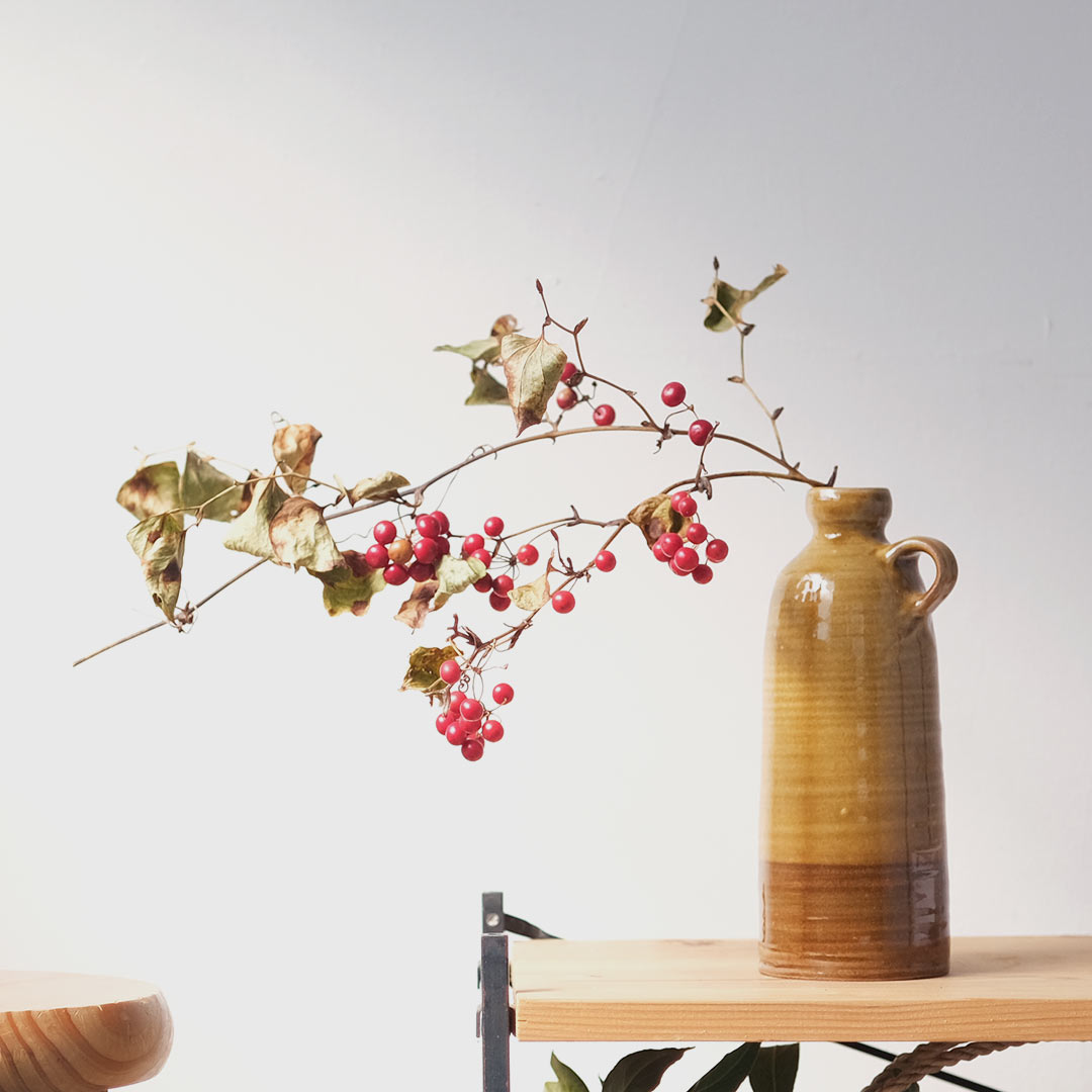 ����åץ�����/����/�ܥȥ�