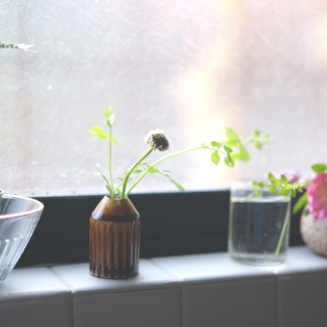 ��ΤҤ饵�����β���/������