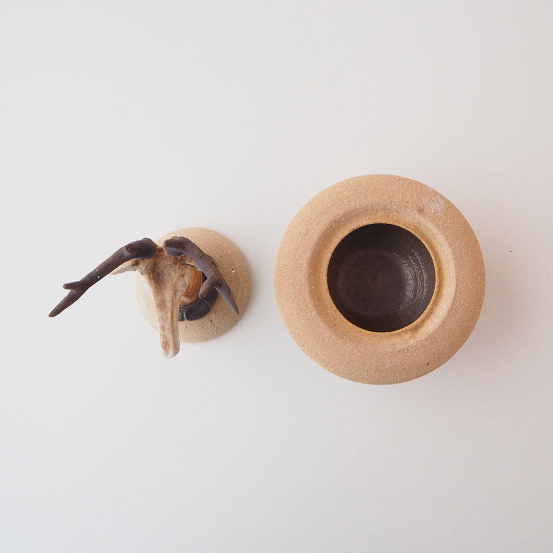 ���γ�������ʪ