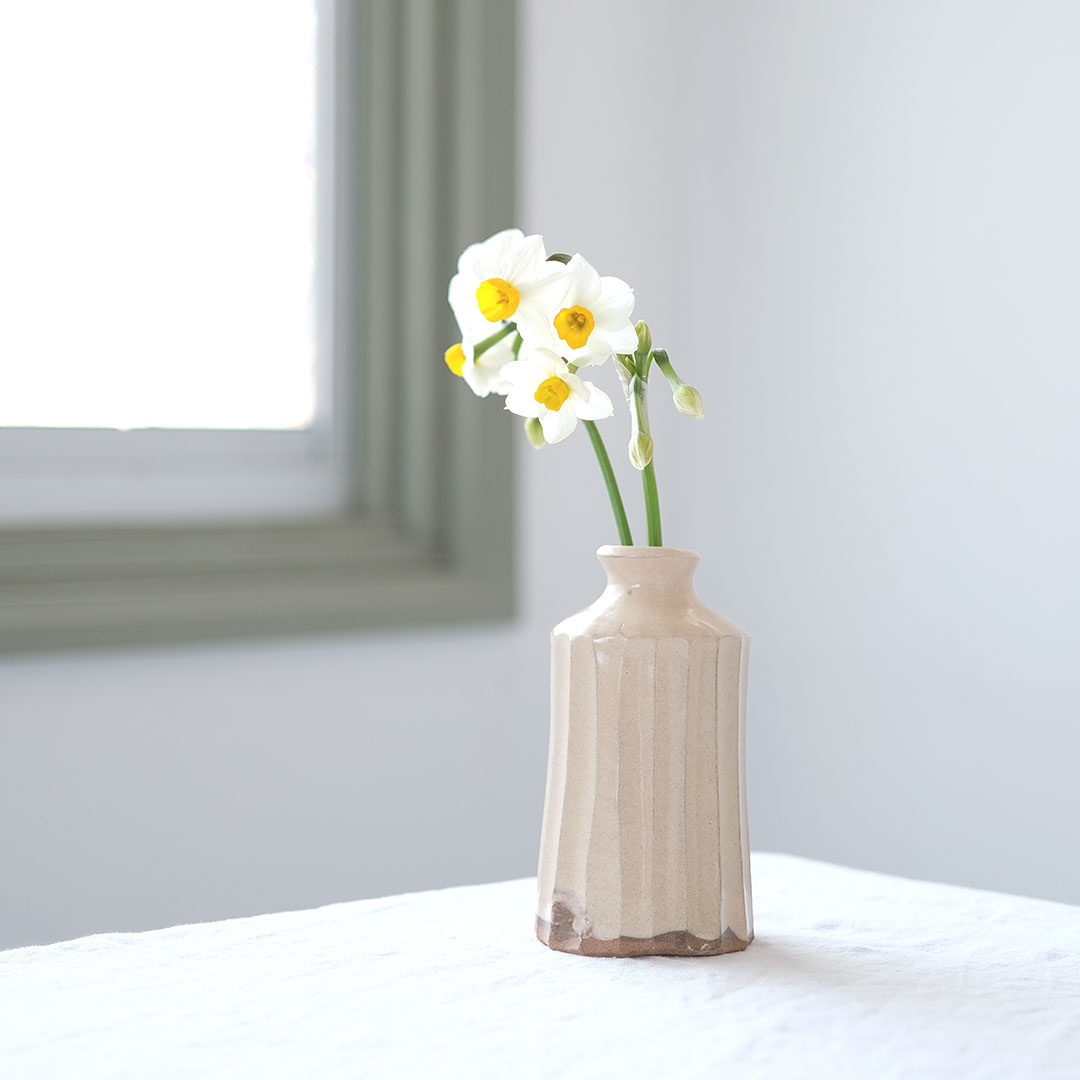 ����/ʴ���̼��