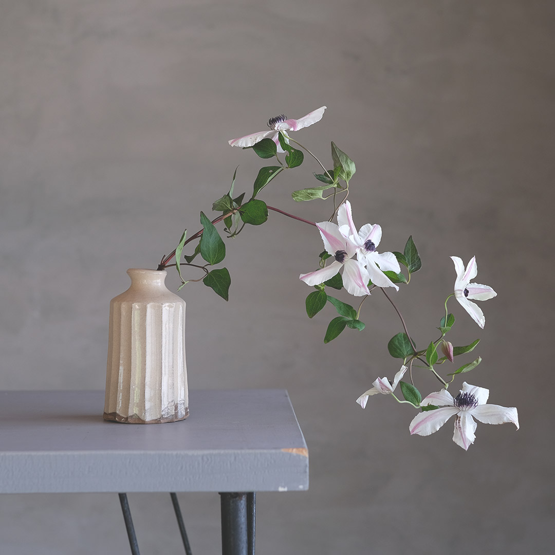 ����/ʴ���̼��