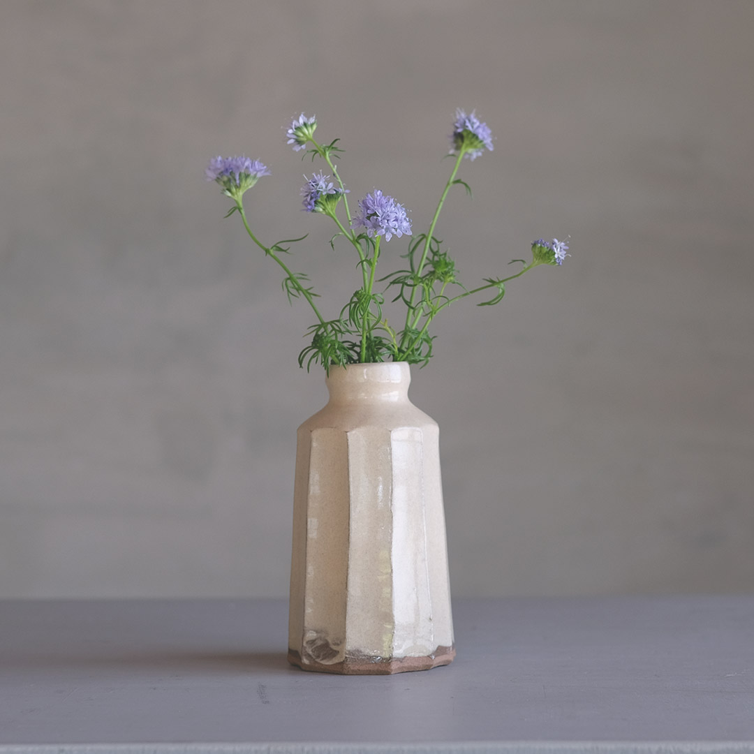 ����/ʴ���̼��